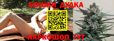 стафф Будённовск